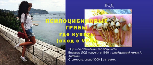 гашик Кинешма