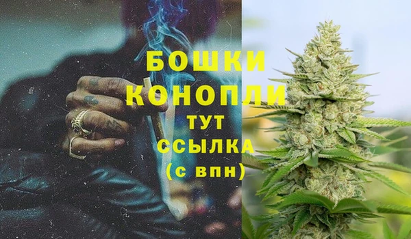 не бодяженный Верея