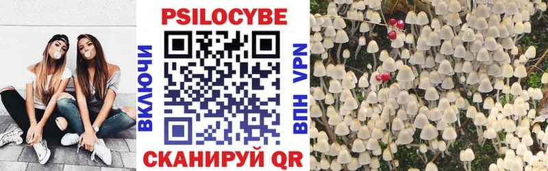 Псилоцибиновые грибы прущие грибы  Дубовка 